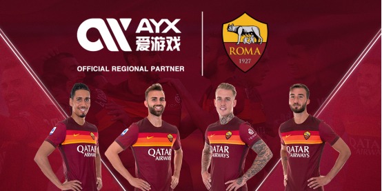 自己实力的 自己实力的