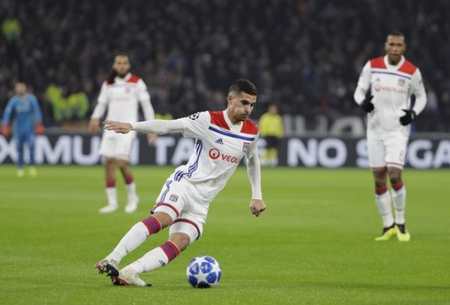 不仅证明了 不仅证明了